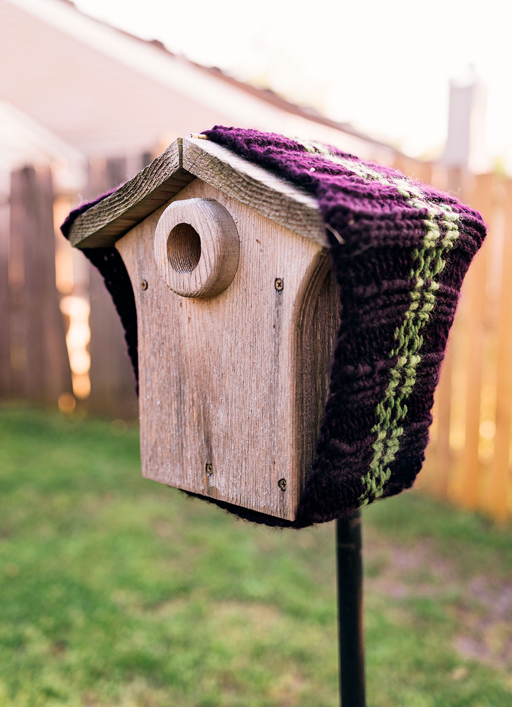 How to help Bluebirds & keep baby birds warm in a late cold spell.