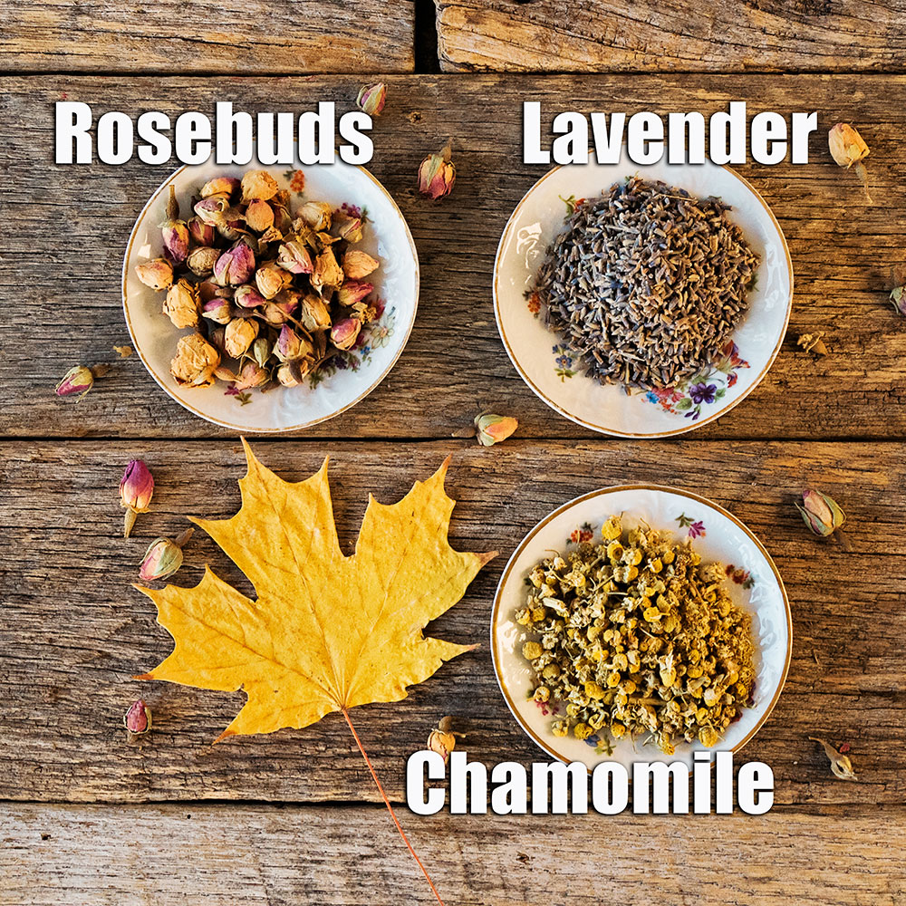 three dishes of herbs styled with a yellow fall leaf.