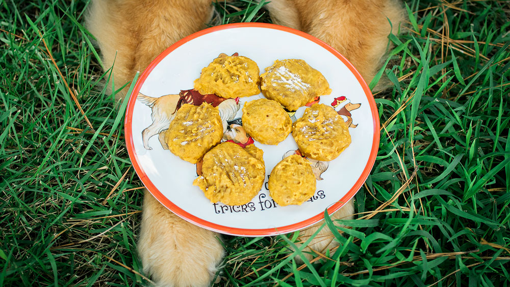 closeup of a plate of home baked sweet potato dog treats on a dog's paws