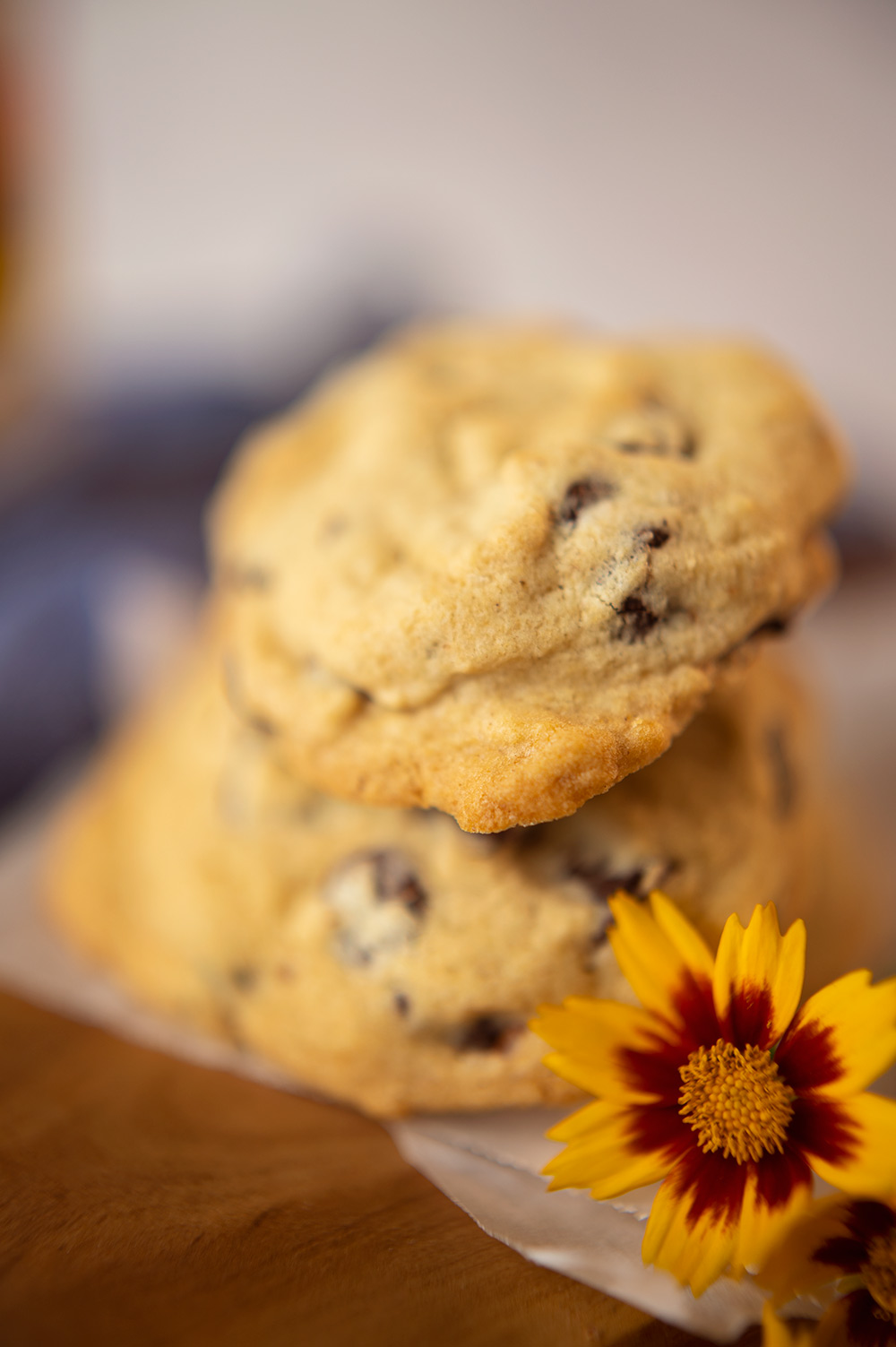 Vintage Chocolate Chip Cookies Pattymac Makes