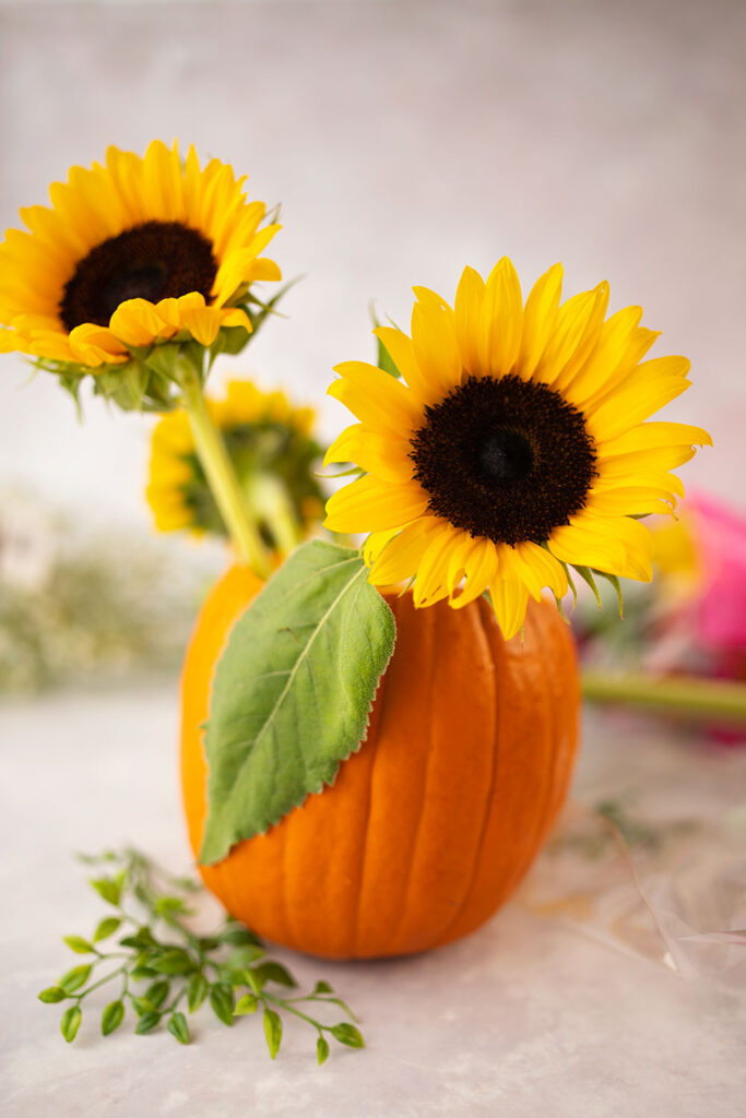 a small pumpkin with the top removed, insides cleaned out and filled with fresh sunflowers