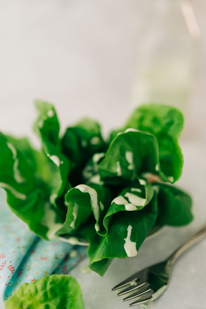 fresh lettuce with salad dressing