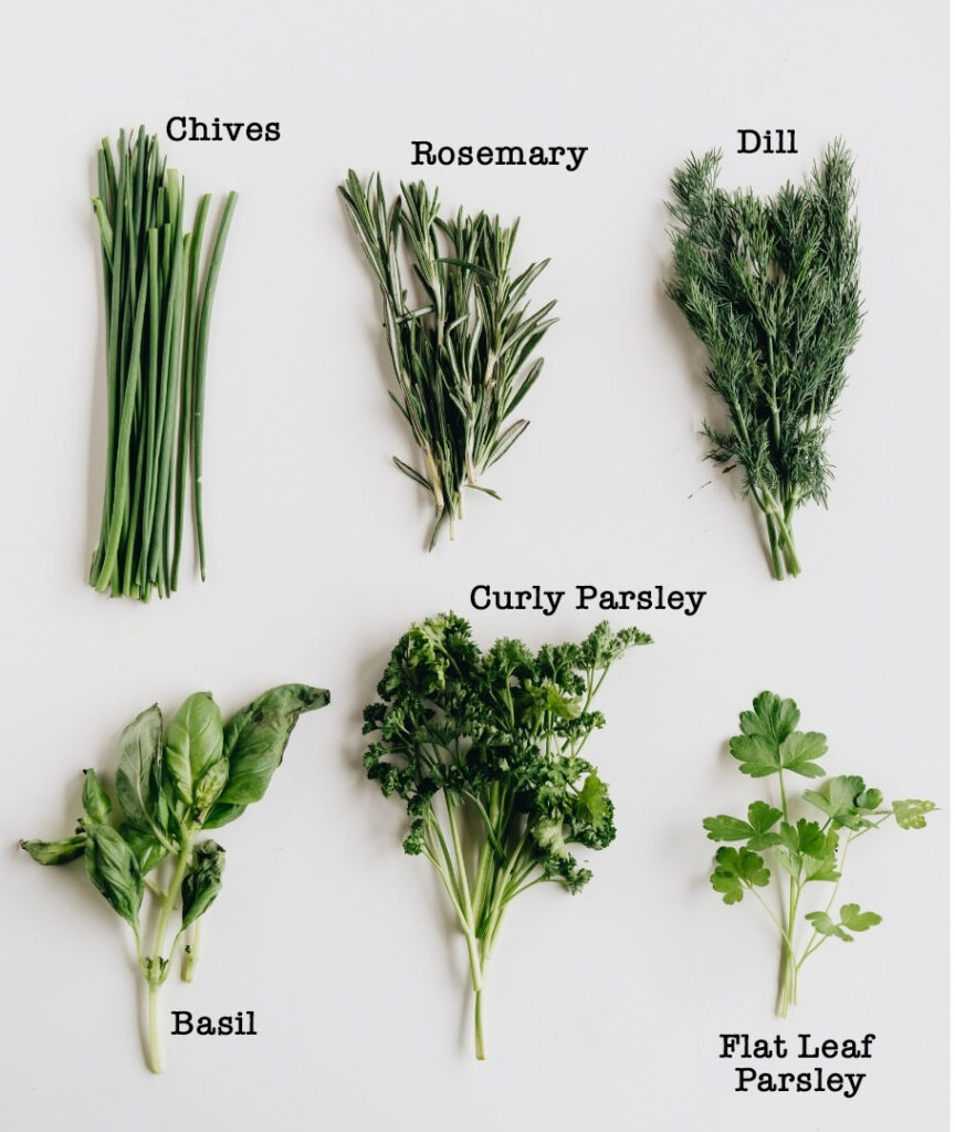 a picture with six different herbs all labled by name