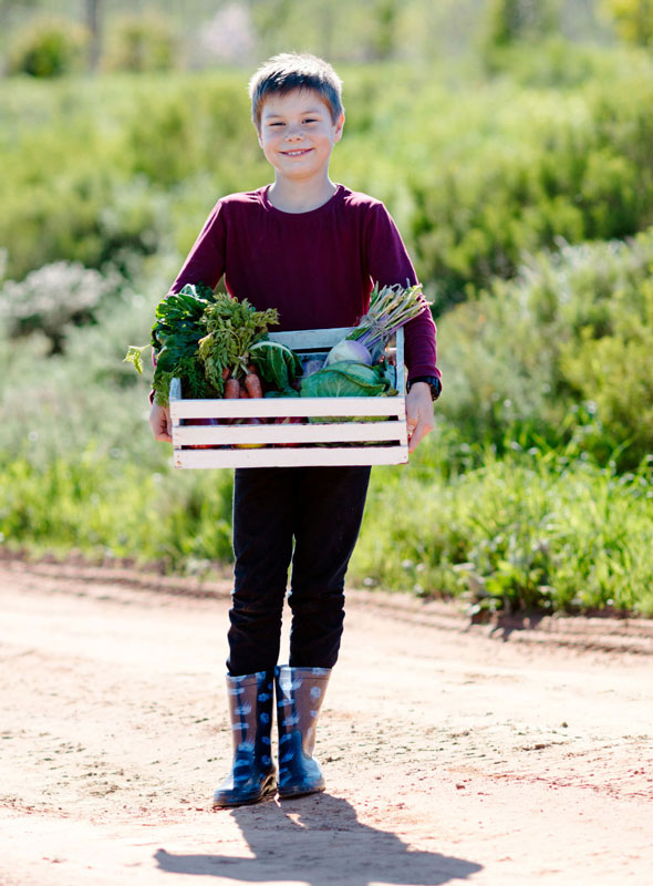 a young boy holds a crate full of seasonal produce
