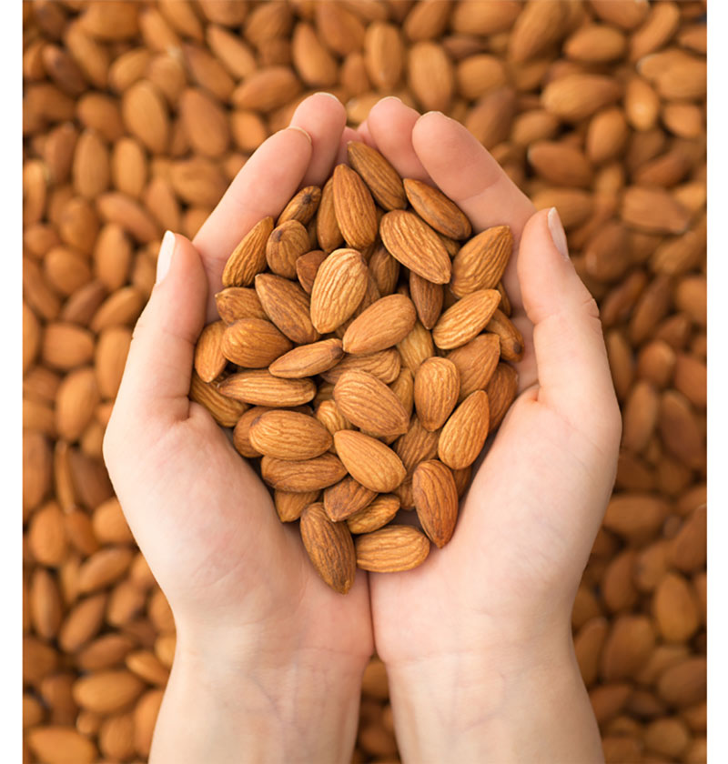 two hands hold almonds over top of a large bowl of more almonds