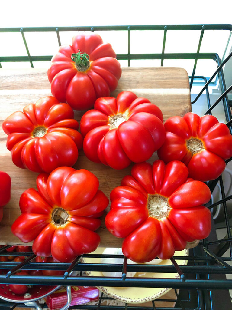 basket in a kitchen window filled with red, ripe, fluted tomatoes