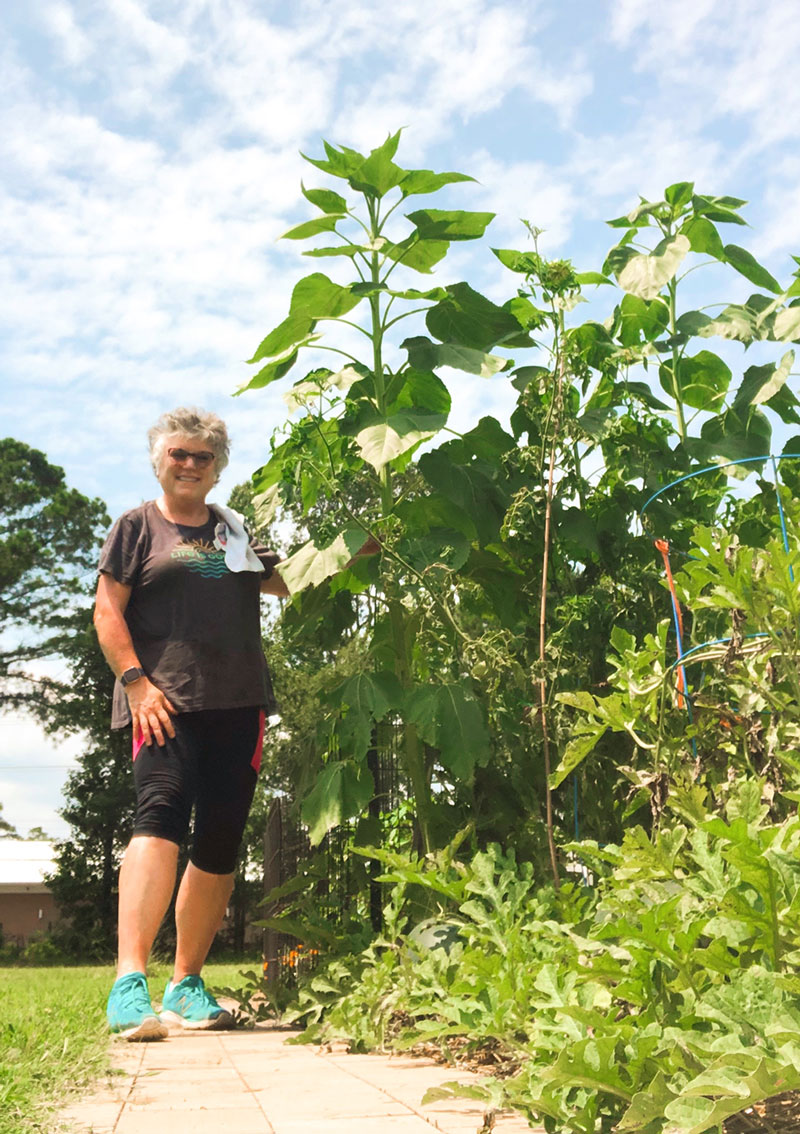 smiling woman poses with mammoth sunflowers in late summer