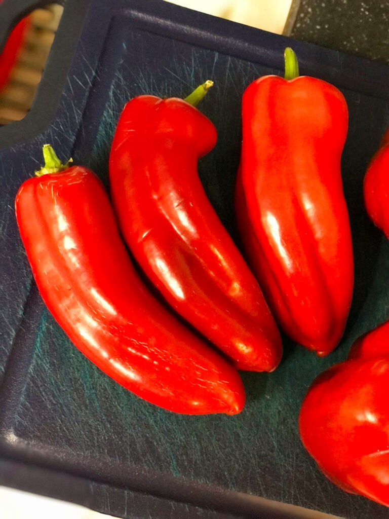 three red, ripe giant marconi peppers