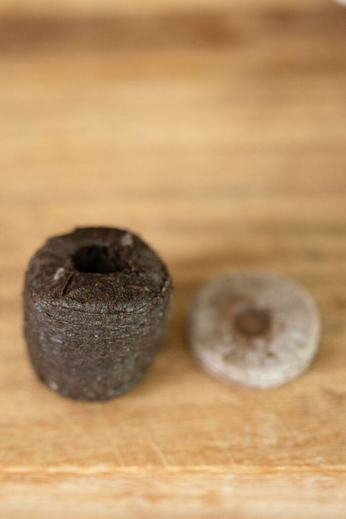 a dehydrated peat pellet next to a rehydrated version