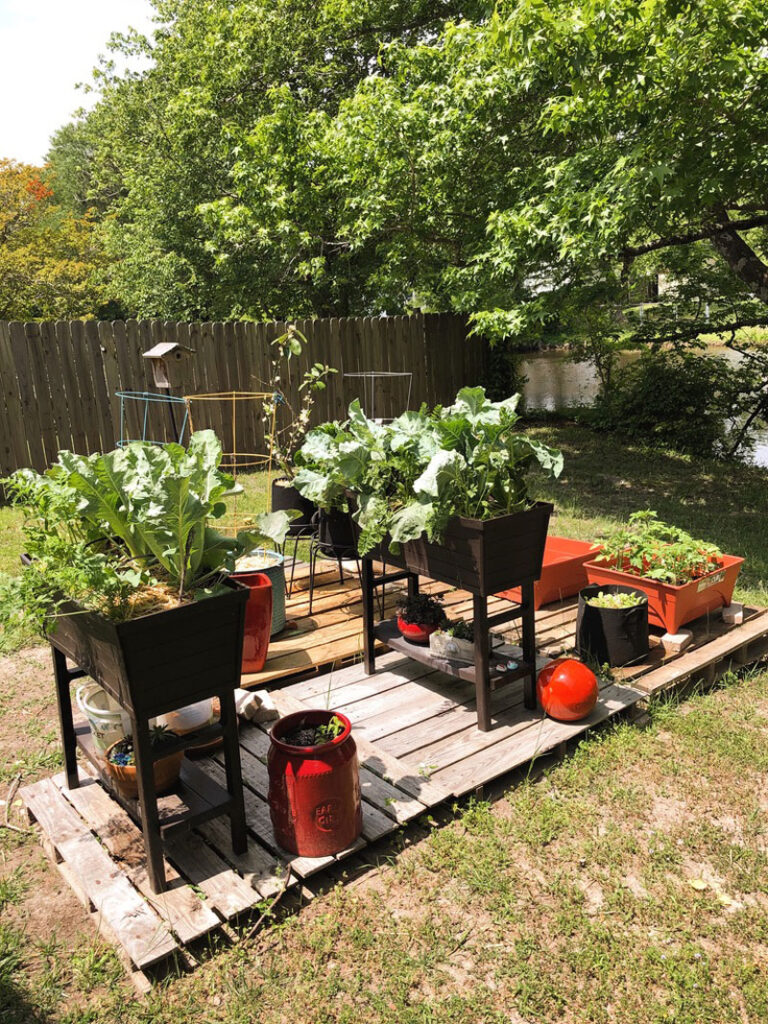 garden planters on wooden pallets