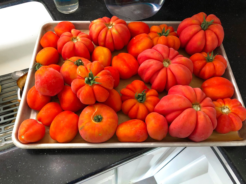 a tray of frozen tomatoes